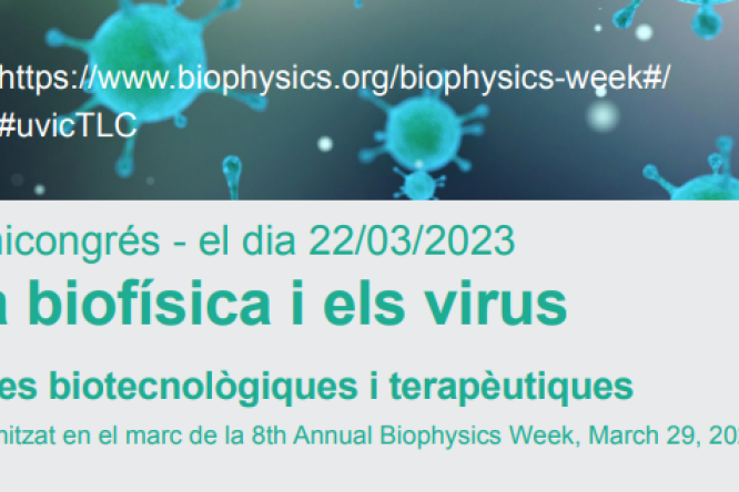 Minicongrés "La biofísica i el virus"